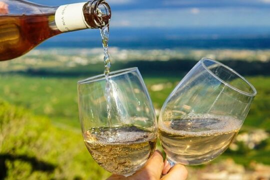 From Aix-en-Provence: Sidecar Day Tour with Wine tastings
