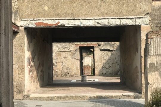 Herculaneum Private Tour with an Archaeologist
