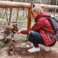 Tours & Sightseeing