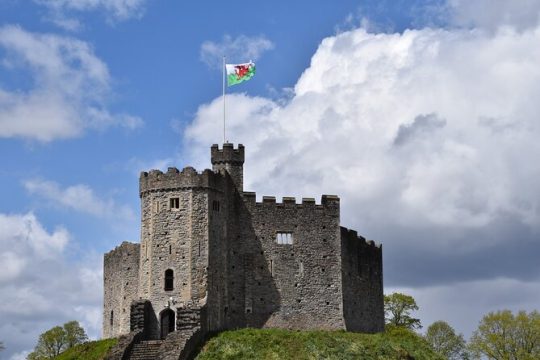 Private Day Tour to Cardiff By Train