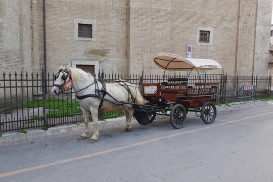 strolling in a carriage in the Assisane countryside