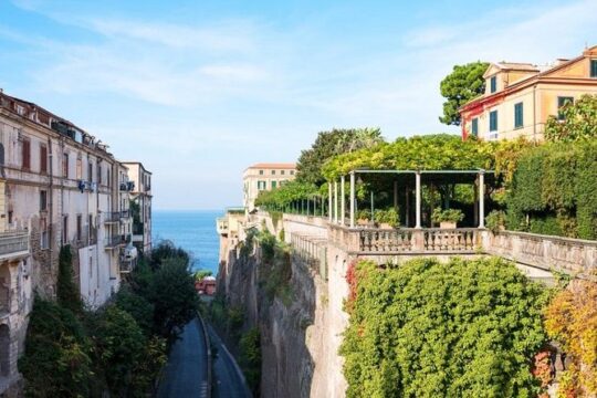 The Gastronomic Tour: Limoncello, Olive Oil and Wine Tasting with Lunch