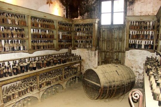 Private Jerez Winery and Jerez Brandy Experience from Seville Hotel pick up
