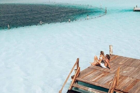 Swim Tour 2 cenotes (Natural Pools) and 1 lagoon & Lunch from Tulum City