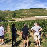 Shore Excursions