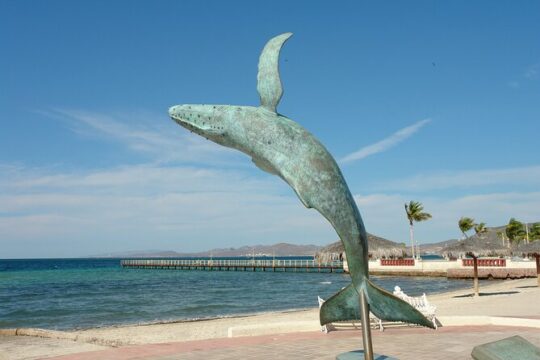 La Paz, Todos Santos, Balandra or Tecolote Beach Tour