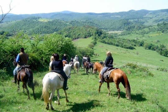 Horse riding excursion