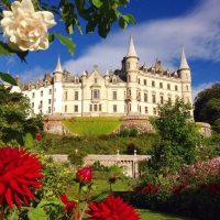 Half-day Tours