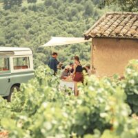 Private & Custom Tours