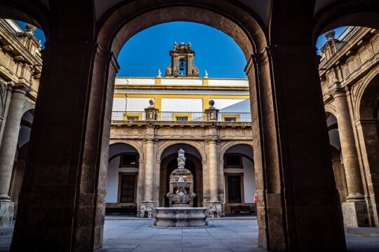 Private Tour Jewish Quarter, center and Plaza de España