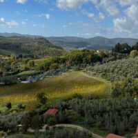 Full-day Tours