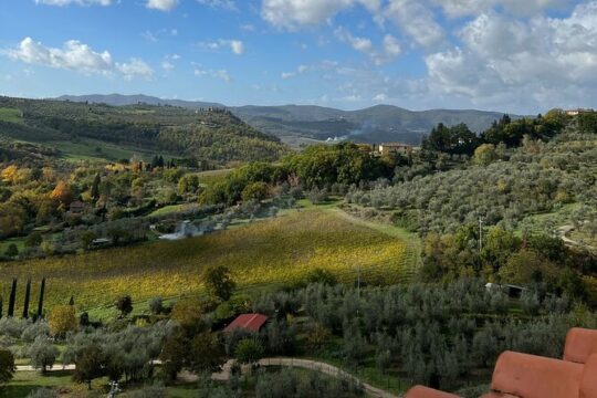 Chianti Wine Tastings and Visit to 3 Cellars with Lunch&Transfer