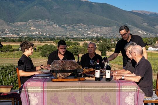 Vineyard and Cellar Tour with Wine Tasting with Typical Products