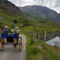 Half-day Tours