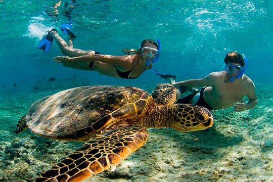 Discover an amaizing Tour Tulum + Akumal Turtles with Transportation from Cancún