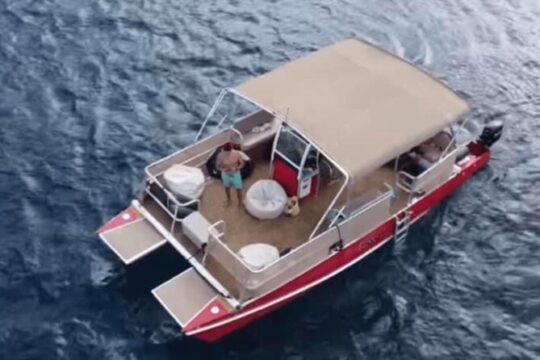 Turtles Guaranteed! Fuel Price Included. Smooth, Comfortable Ride