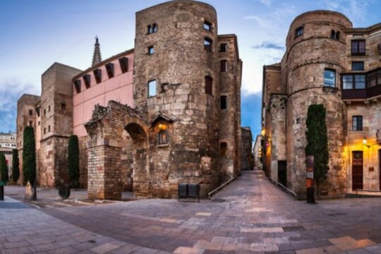Gothic Quarter Private Tour with Sagrada Familia