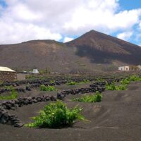 Walking & Biking Tours