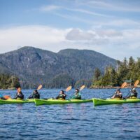 Sustainable Tours