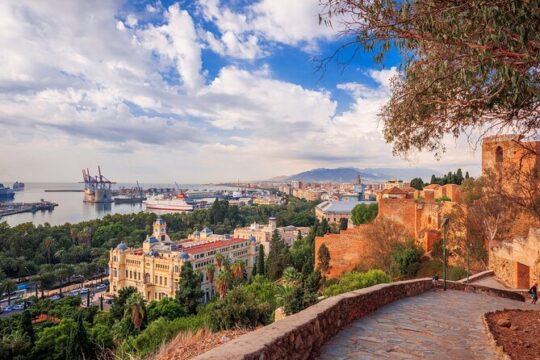 3 Hours Private Guided Tour in Spain with skip the line access