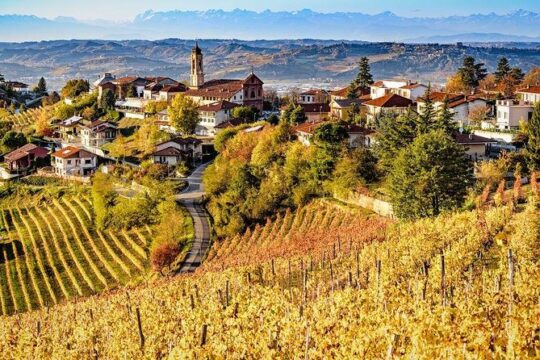 Langhe: Alba & Barolo
