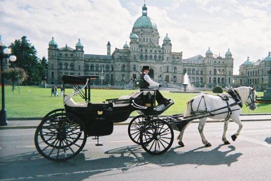 90-Minute The Capital Tour