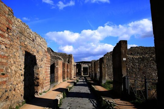 Fast Access Exclusive Private Ancient Pompeii Herculaneum & Oplontis Guided Tour