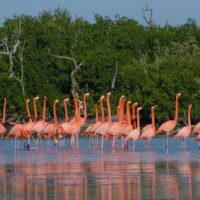 Day Trips & Excursions