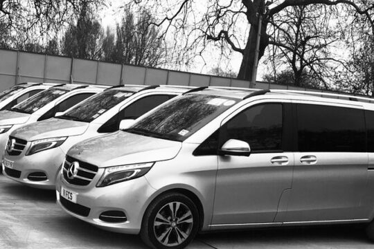 Private transfer to Stonehenge with tickets included