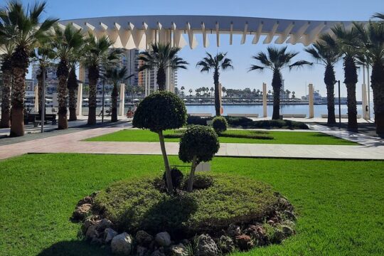 Malaga Half-Day Walking City Tour with Private Expert Guide