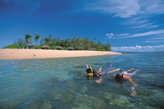 Afternoon Low Isles Snorkelling & Sunset Sail from Port Douglas