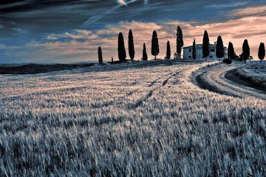 Day trip from Rome: Deluxe wine tasting in Montalcino - private tour