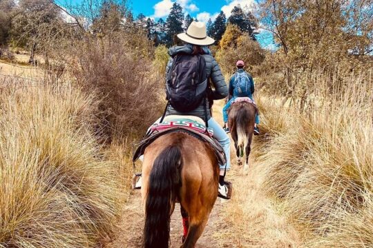Horseback in the mountains & Food in our ranch