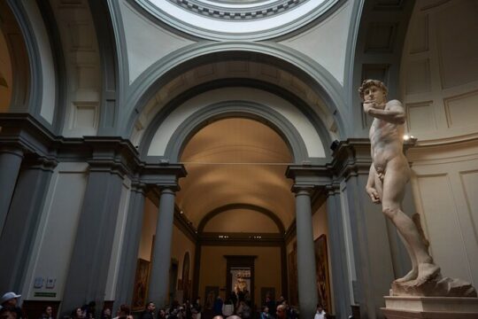 Florence: Accademia Gallery Skip-The-Line Express Private Tour