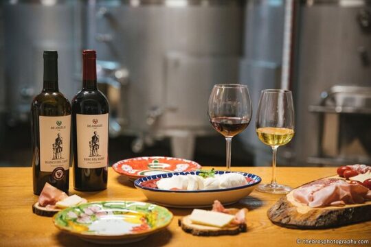 2-hour tasting of 5 wines in Sorrento