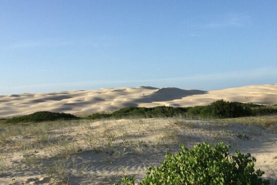 Port Stephens, Beach and Sand Dune 4WD Tag-Along Tour