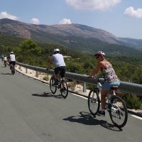 Walking & Biking Tours