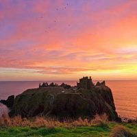 Shore Excursions