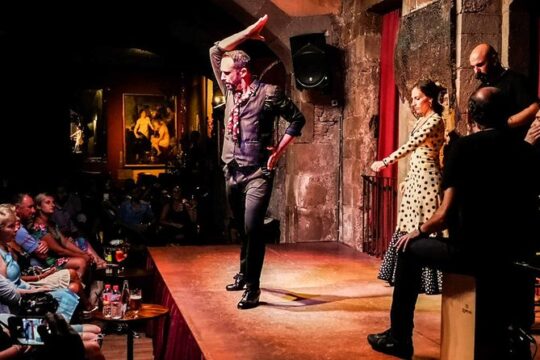 Tapas & Flamenco Private Tour - Tapas, Wine & Flamenco Show