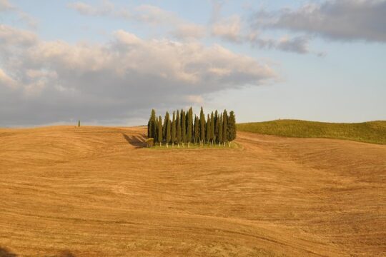 Private Day Trip to Montalcino and Montepulciano from Florence