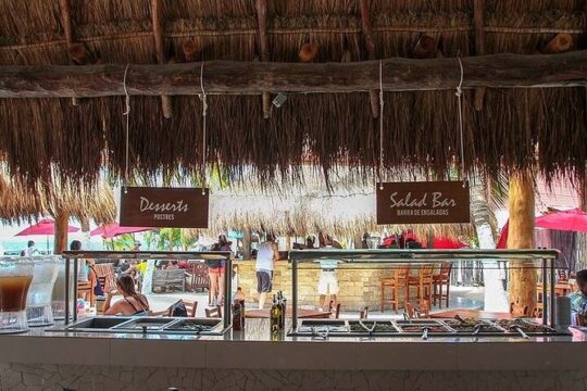 Navigate Plus Catamaran to Isla Mujeres & Beach club & Open Bar