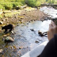 Walking & Biking Tours