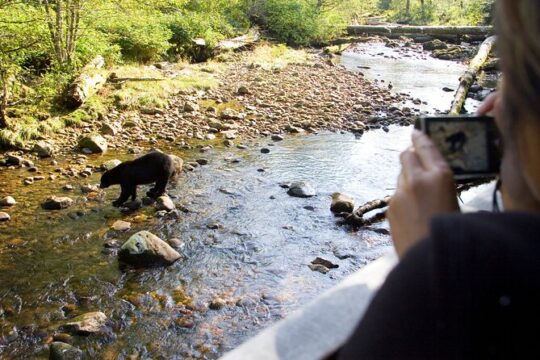 Canmore: Wilderness & Wildlife Hiking Tour - 3hrs
