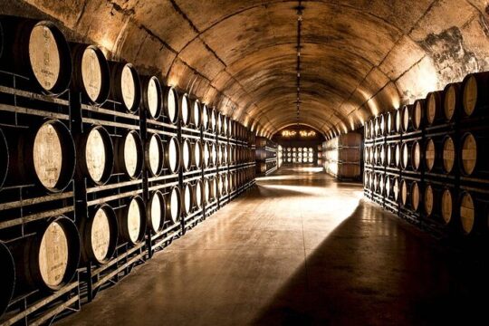 Wine Cellar Penedés Tour