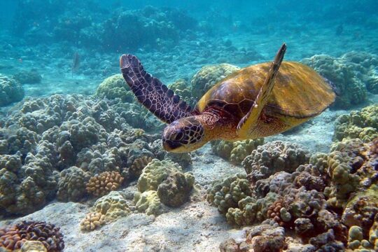 Sian Kaan Eco Adventure! Round Transportation From Playa Del Carmen