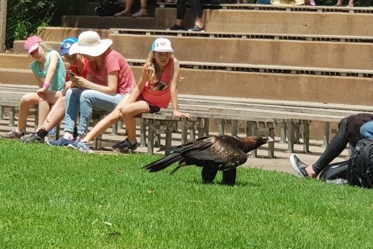 Healesville Sanctuary and Rayners Orchard Tour from Melbourne