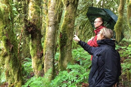 Morning Walk & Forest Talk