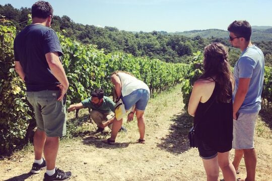 Private Chianti wine tour