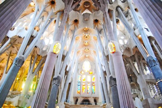 Park Güell and Sagrada Familia Private Tour