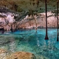 Private & Custom Tours